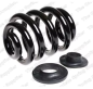 Preview: Reinforced rear axle coil spring (4295060), VW Multivan/Transporter T5/T6